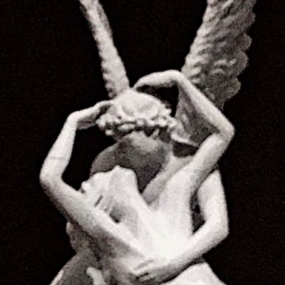 AndroXBT's profile picture. Light Seeker.