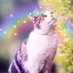 Dottie and Bella ๐ฑ๐๐๐๐๐ฑ (@dotandbella) Twitter profile photo Dottie and Bella ๐ฑ๐๐๐๐๐ฑ (@dotandbella) Twitter profile photo