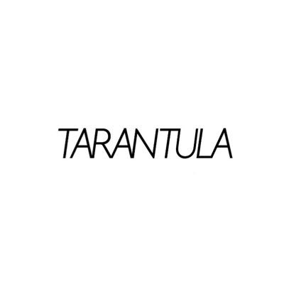 TALENT MANAGEMENT AND STRATEGIC CONSULTING TO ICONS, ARTISTS, GENIUSES AND HEADS OF STATE