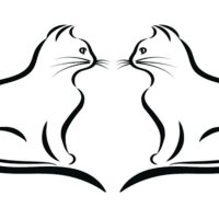 Sally van der Graaff (@bebbycats) 's Twitter Profile Photo Sally van der Graaff (@bebbycats) 's Twitter Profile Photo