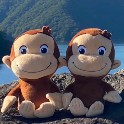 さちお( ˙◊˙ )@💩さんのプロフィール画像