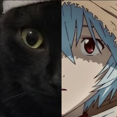 11Ottori's profile picture. 🌊