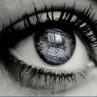 Carol S #TeamBlues💙 #TeamGreen💚🚑 Profile