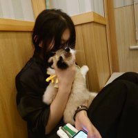 小白 (@xiaobaibai1314) 's Twitter Profile