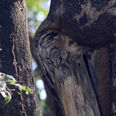 YoLcu89610's profile picture. DAVAMIZ kavgamızdan BÜYÜK🇹🇷🕋…