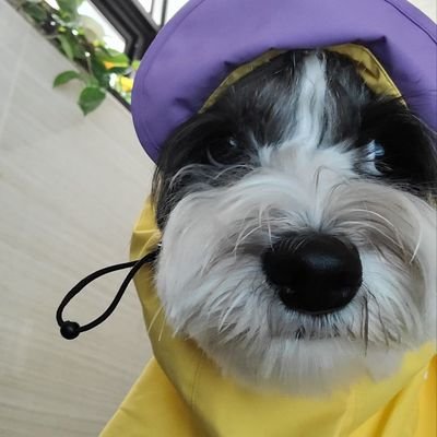 hannahさんのプロフィール画像