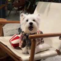 Aaron (@aaron_777777777) 's Twitter Profile Photo