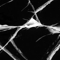isglas (@chisto_akk) 's Twitter Profile