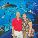 cindy pierce - @pierce202 - Twitter