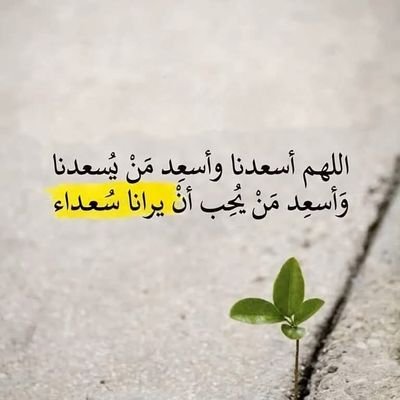 shshaalaman's profile picture. 