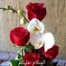 Amir Rauf (@amirraufqureshi) Twitter profile photo Amir Rauf (@amirraufqureshi) Twitter profile photo