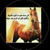 💙الغصن (سلطنة عمان )💙 (@algusin2040) Twitter profile photo 💙الغصن (سلطنة عمان )💙 (@algusin2040) Twitter profile photo