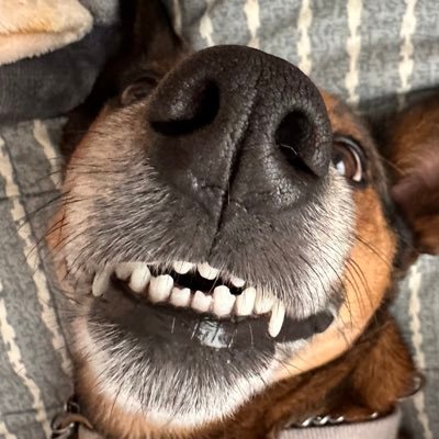 amyy_mills's profile picture. good morrow | they/she | 23