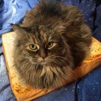 Mr. Sunny (@mr_not_so_sunny) 's Twitter Profile Photo Mr. Sunny (@mr_not_so_sunny) 's Twitter Profile Photo