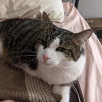 JTK14 (@jtk1409) 's Twitter Profile