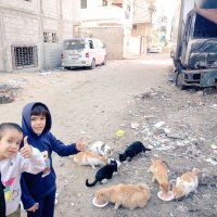 amjad (@amjadabd1985) 's Twitter Profile Photo amjad (@amjadabd1985) 's Twitter Profile Photo