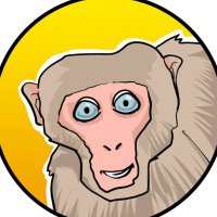 LAIFU | CTO (@monkey_running0) 's Twitter Profile Photo LAIFU | CTO (@monkey_running0) 's Twitter Profile Photo