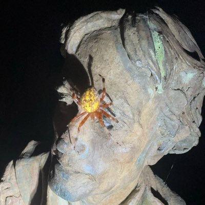 TastyJefferson's profile picture. 