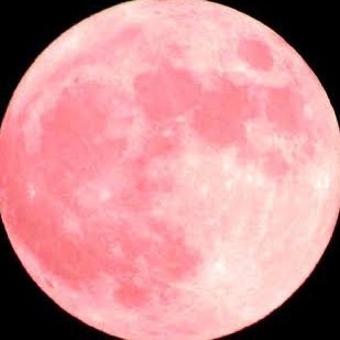 ◤luna様♡•*¨*•.¸♬︎専用ページ◢ この後爆睡しました。