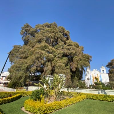 Tisc09's profile picture. .