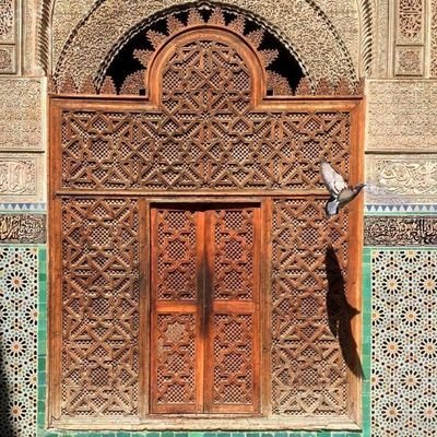 EsraaAbdo555281's profile picture. 