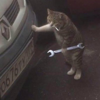 DisownedByMe's profile picture. 23 | (He/Him) | #1 BOOBIE LOVER