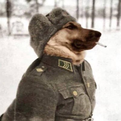 nebojsacoding's profile picture. Philosophizing with a hammer, swe, CV trenches & phd mines, security enthusiast