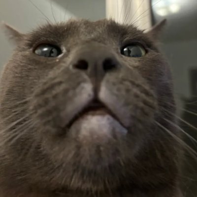 EaterOfBreads's profile picture. silly billy https://t.co/mlLhpHnYwu