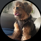 herringjac8 (@herringjac8) 's Twitter Profile