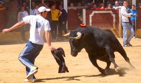 chechovoy's profile picture. 