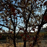 u_4721 (@ukaratas1) Twitter profile photo