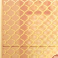 스옹 (@zuttomzen) 's Twitter Profile Photo