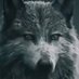 Elon Wolf (@sunrise82m) Twitter profile photo Elon Wolf (@sunrise82m) Twitter profile photo