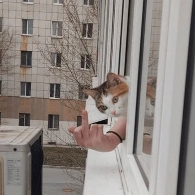 AryanCh50966571's profile picture. I do not think therefore I do not am!