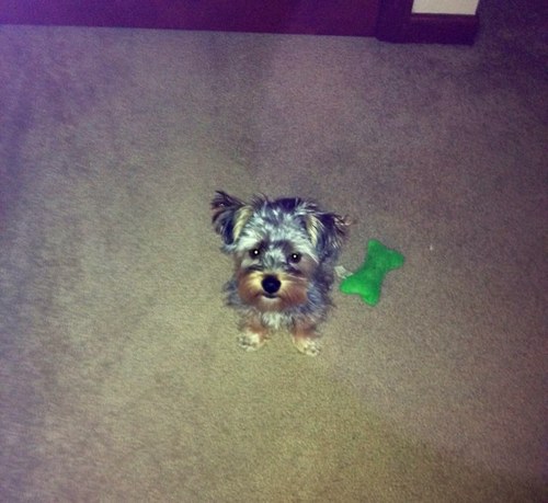 akirkbride1's profile picture. 