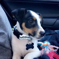 NORTHIAHAWKEYE (@northiowahawkye) 's Twitter Profile