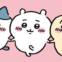 うに (@uni_study25) 's Twitter Profile