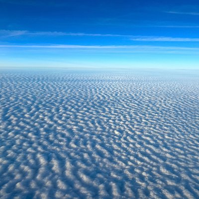 MakiAriana's profile picture. 