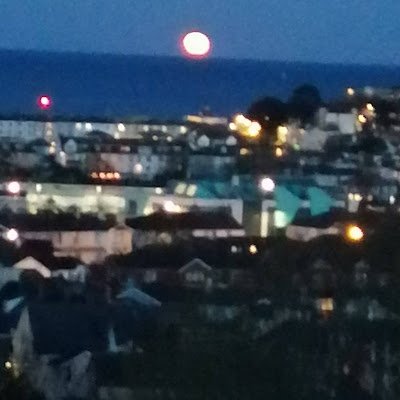 aly_day65444's profile picture. 