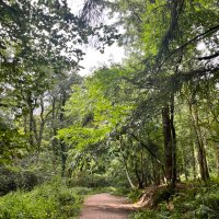 CryptoWiz (@wagadazoo) 's Twitter Profile