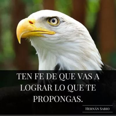 Gabybirds2024's profile picture. Técnica en logística,sommelier, enfermera universitaria,camino a la licenciatura ... en la UBA ....la vie est belle....🩷🥰💪🌹  los animales primero...💗😍