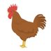 RhodyTheRooster (@rhodyredrooster) Twitter profile photo RhodyTheRooster (@rhodyredrooster) Twitter profile photo