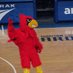 CardiacCardinal (@cardiaccardzz) Twitter profile photo CardiacCardinal (@cardiaccardzz) Twitter profile photo