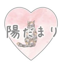 𓇬陽だまり𓇬NPO法人 函館地域猫保護猫活動団体 (@hidamari2021) 's Twitter Profile Photo 𓇬陽だまり𓇬NPO法人 函館地域猫保護猫活動団体 (@hidamari2021) 's Twitter Profile Photo