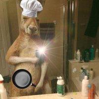 Aldush (@cryptoaldush) 's Twitter Profile