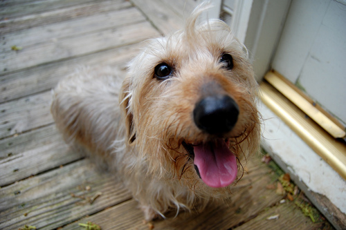 efkanturen's profile picture. Technology enthusiast, environmentalist, secularist