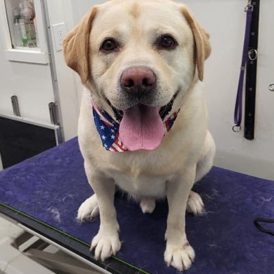 Joho916's profile picture. 