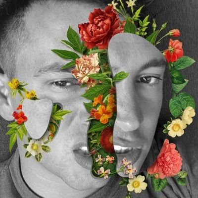 Tessy in the trees 🌳 |-/さんのプロフィール画像