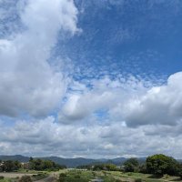 まいまい (@tfv9os) 's Twitter Profile Photo