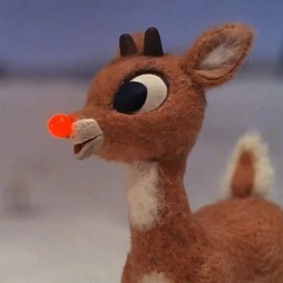 The official community for $Rudolph on the Solana Network.